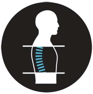 An illustration showing a human spine Scan  of Daiwa Massage Legacy