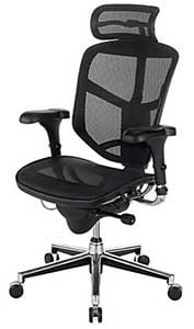 Ergonomic Office Chair for Types of Desk Chairs