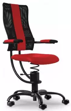 Spinalis Chairs