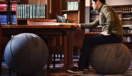 An Image of a Man Who Is Sitting Vivora Luno Exercise Ball Chair