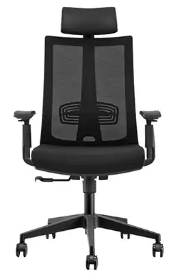 CMO Mesh Ergonomic High-Back Chair w/ Headrest