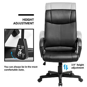 An Image of Best Ergonomic Office Chair Under $100 Merax Modern Luxe Height Adjustment