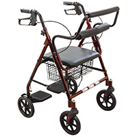 A Small Image of Best Lightweight Transport Wheelchair: ProBasics Rollator