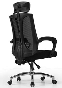 A Back-Side View of Hbada High Back Mesh Office Chair