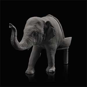 Baby Elephant Chair, a chair featuring a sculpture of a baby elephant's head and front legs for the backrest and backlegs