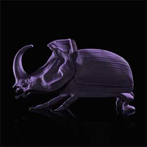 Beetle Chair, a chair featuring a huge beetle sculpture for the backrest and legs