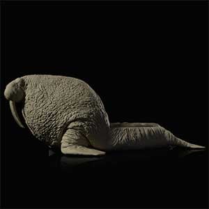 Walrus Chair, a chair featuring a walrus sculpture for the backrest and legs