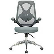 FRS-6111 variant of the Frasch High Back Ergonomic Office Chair