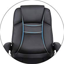 Double and high backrest of the LCH Office Chair