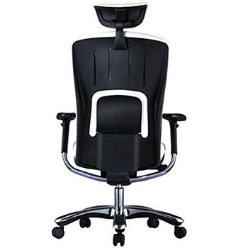 Genuine Leather Executive Chair by GM Seating Ergolux –