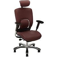 Burgundy variant of the GM Seating Ergolux Genuine Leather Executive Hi Swivel Chair