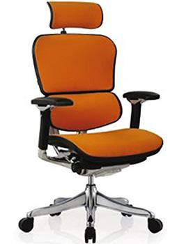 Left Image View of ErgoHuman High Back Swivel Chair