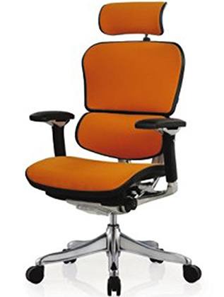 Right Image View of ErgoHuman High Back Swivel Chair