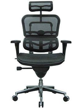Front Image View of Ergohuman High Back Swivel Chair ME7ERG 
