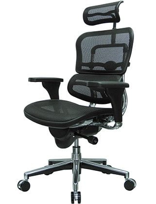 Right Image View of Ergohuman High Back Swivel Chair