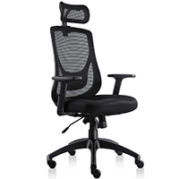 Viva Office Chair Review Mesh High Back w_Adjustable Arms Small - Chair Institute