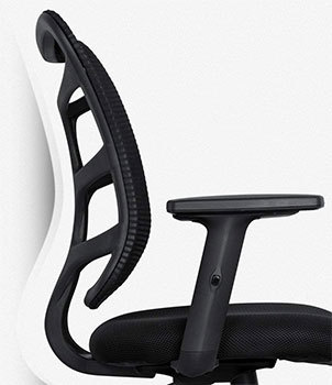 Ergonomic Design of Viva Mesh Task Chair