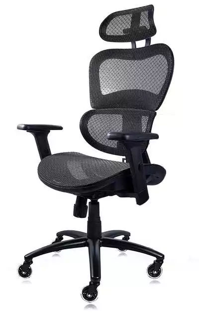 NOUHAUS Ergo3D Ergonomic Mesh Office Chair