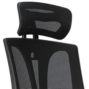 Headrest, Hbada Ergonomic Big and Tall Executive Mesh Chair with Adjustable Lumbar Support, Black