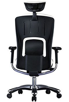 Back Side View of GM Seating Ergolux Executive Chair
