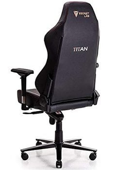 Back Side View of Secretlab Titan Gaming Chair