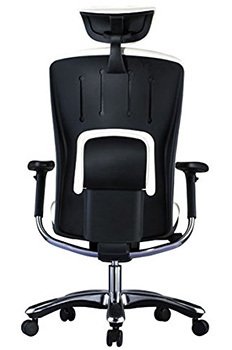 Back View Image of Ergolux Executive Chair, By GM Seating