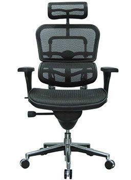 Black Mesh & Chrome Base, Ergohuman High Back Swivel Chair with Headrest, Front Position