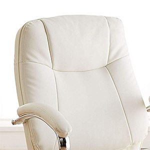 Easy and Comfortable Padded Foam, BrylaneHome Extra Wide Chair, Ice