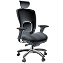 Small Image of Seating Ergolux Executive Chair for Best Office Chair for Leg Pain