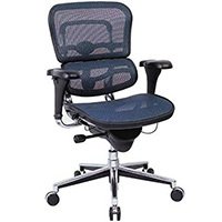 Blue variant of the Ergohuman Raynor Me8erglo Mesh Chair