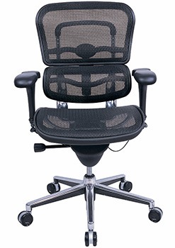 Black variant of the Eurotech Ergohuman Mid-Back Mesh Chair