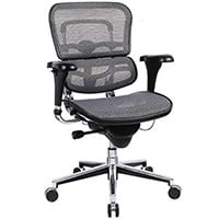 Gray variant of the Eurotech Ergohuman Mid-Back Mesh Chair