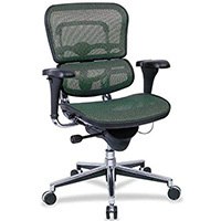 Green variant of the Raynor Ergohuman Mid Back Mesh Desk Chair