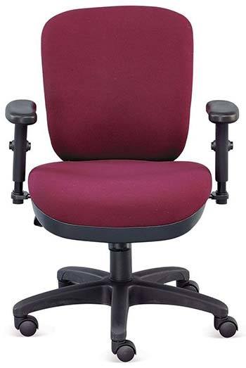 A front image of Officient Compact Ergonomic Chair.