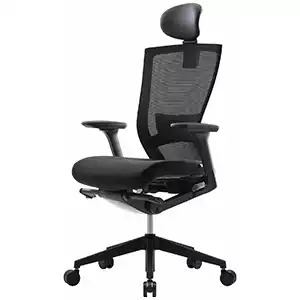 SIDIZ T50 Home Office Desk Chair