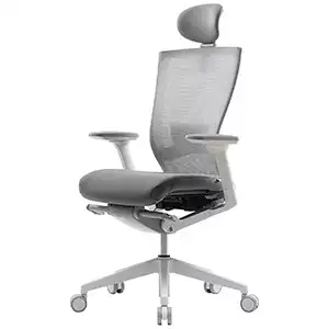 SIDIZ T50 Home Office Desk Chair, Grey