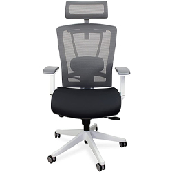ErgoChair Pro with white frame, gray mesh seatback, headrest, and armrest padding, and black seat cushion