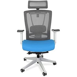 ErgoChair Pro with white frame, gray mesh seatback, headrest and armrest padding, and baby blue seat cushion