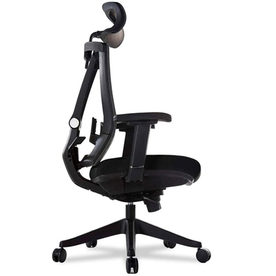 Ergochair Pro all black with headrest, lumbar support, thick seat cushion, and adjustable armrests