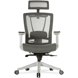 ErgoChair Pro with white frame and gray mesh seatback, headrest, armrest cushion, and seat padding