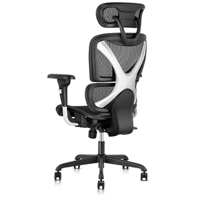 Gabrylly ergonomic office chair with double-back structure, black mesh seat, seatback, and headrest, and lumbar support