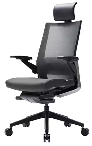 SIDIZ T80 Ergonomic Home Office Chair