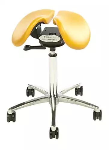 Salli Swing Saddle Seat