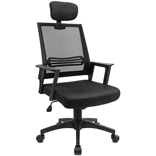Devoko Mesh Desk Chair with Headrest