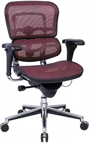 Ergohuman Mid-Back Mesh Chair