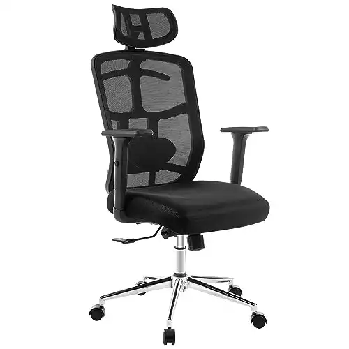 TOPSKY Ergonomic Mesh Office Chair